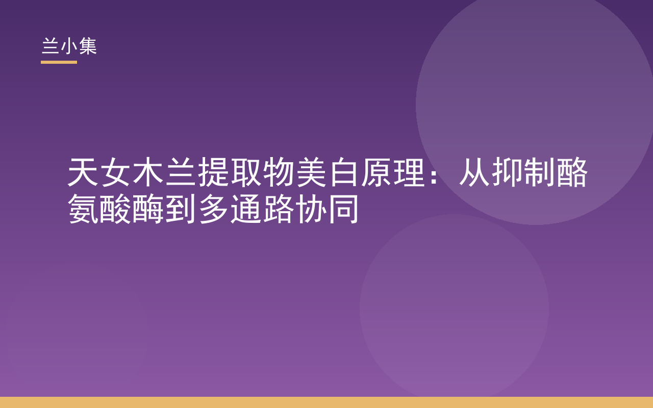天女木兰提取物美白原理示意图，展示抑制酪氨酸酶与多通路协同机制，兰小集专利成分应用