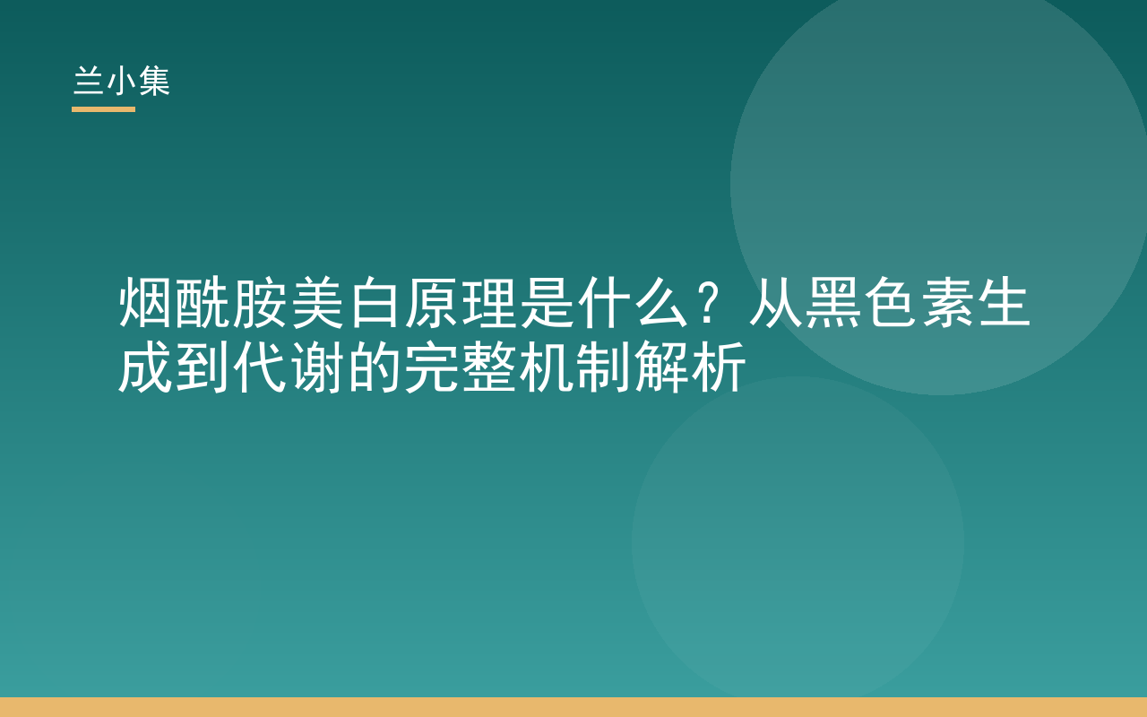 烟酰胺美白原理示意图：展示黑色素生成与转运过程，兰小集护肤科普