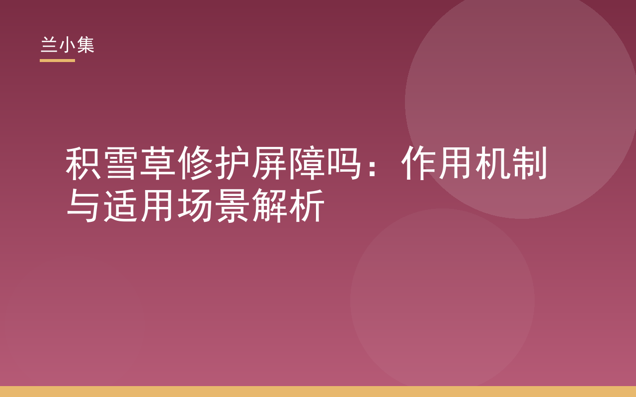 积雪草修护屏障吗？图示积雪草提取物与皮肤屏障结构，展示多通路修护机制